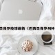 巴西圣保罗疫情最新（巴西圣保罗州杯赛程）