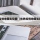 世界疫情地图走势图（世界疫情地图走势图片）